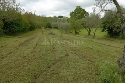 Agricolo in vendita, Strada Cassia Sud, Viterbo