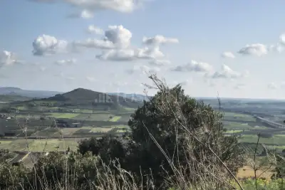 Agricolo in vendita, Contrada Martognella, Valderice