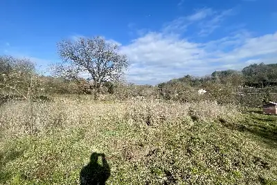Agricolo in vendita, Strada Valle Cerasola, Viterbo