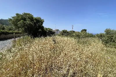 Agricolo in vendita, Piano Torre Spartà, Messina