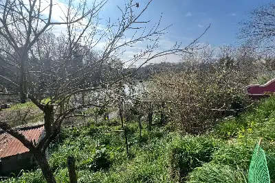 Agricolo in vendita, Via Vinadio, Roma