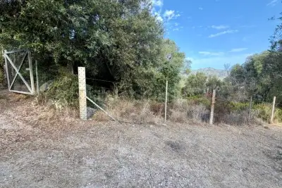 Agricolo in vendita, Via Raica, Olbia