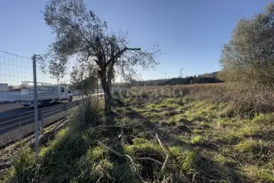 Edificabile Industriale in vendita, Orte Loc. Caldare, Orte