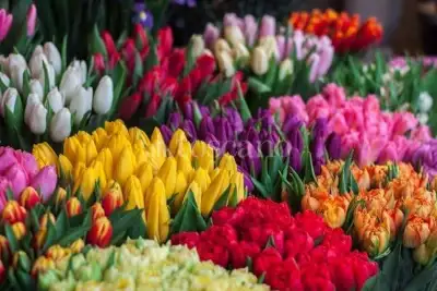 Attività Commerciale in vendita, Crespiatica via Dante Alighieri, Crespiatica