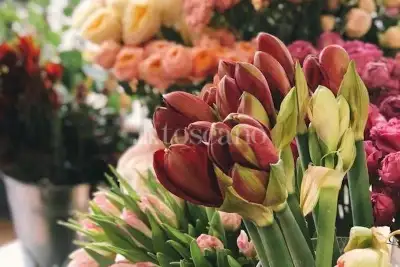 Attività Commerciale in vendita, Crespiatica via Dante Alighieri, Crespiatica