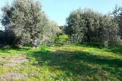 Rustico in vendita, Strada Provinciale 50, Messina