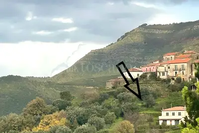 Agricolo in vendita, Via Sorrentini, San Mauro Cilento