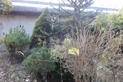 Casa Indipendente in vendita, Via Cerenaro, Rieti