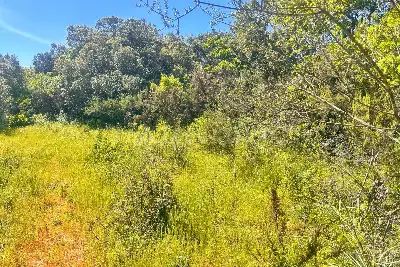 Agricolo in vendita, Telti via Monti Longu., Telti
