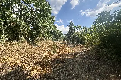 Agricolo in vendita, San Leucio, Vaccheria, Caserta
