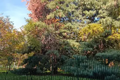 Casa in vendita, Via Privata delle Querce, Milano