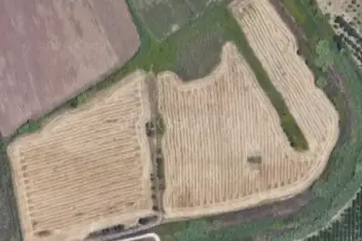 Agricolo in vendita, Strada Laganelli, Siracusa