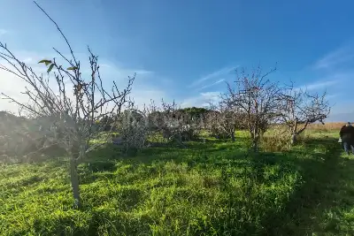 Capannone in vendita, SS16, Brindisi