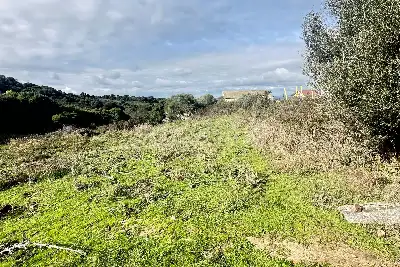 Agricolo in vendita, SANT'ANTONIO DI GALLURA , Sant'Antonio di Gallura