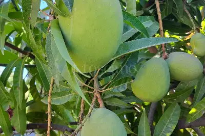 Villa in vendita, Via San Giovanni Bosco, Siracusa