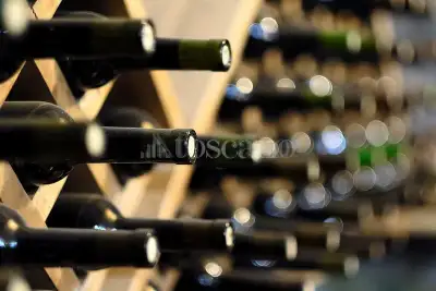 Attività Commerciale in vendita, Via Roma, San Rocco al Porto