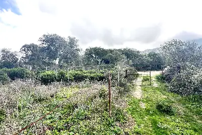 Agricolo in vendita, Loc. Caldosu, Sant'Antonio di Gallura