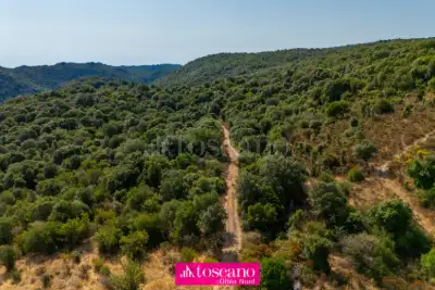 Agricolo in vendita, Monti, Monti