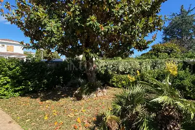 Villa Plurifamiliare in vendita, via focara, Sabaudia