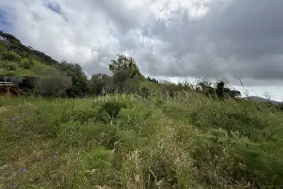 Agricolo in vendita, Via San Cosimo, Messina