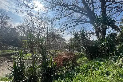 Agricolo in vendita, Via Vinadio, Roma