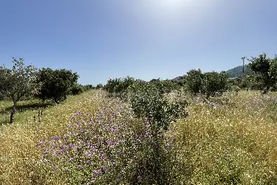 Agricolo in vendita, Piano Torre Spartà, Messina