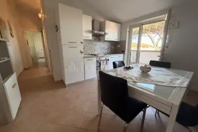 Attico in vendita, Viale dei Tassi 53, Ardea