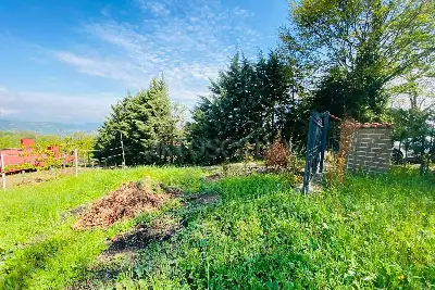 Agricolo in vendita, Via delle foreste, Manocalzati, Manocalzati
