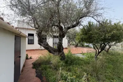 Casa Indipendente in vendita, Contrada Musarra, Messina