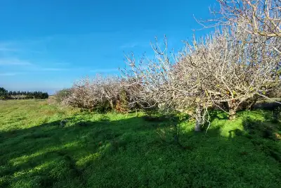 Capannone in vendita, SS16, Brindisi