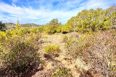 Agricolo in vendita, Trudda , Loiri Porto San Paolo