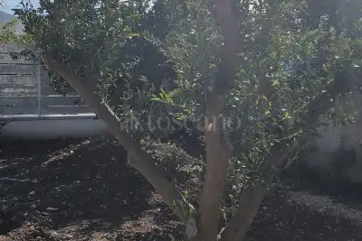 Villa in vendita, Contrada San Nicola, Trabia