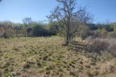 Agricolo in vendita, Vicolo della Patatona , Ciampino