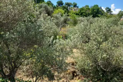 Villa in vendita, Cda Montagnoli Belmonte Mezzagno, Belmonte Mezzagno