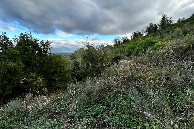 Agricolo in vendita, Via Cristoforo Colombo, Florinas
