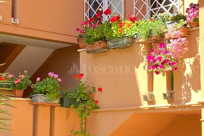 Casa in vendita, Arenzano via della Pineta 45 , Arenzano