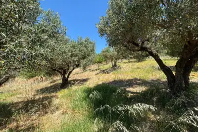 Magazzino in vendita, Via Fausto Gullo, Borgia