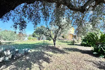 Villa in vendita, via colle cancellata grande , Zagarolo