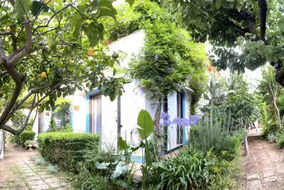 Villa Plurifamiliare in vendita, Via Domenico de Santis, Cerveteri