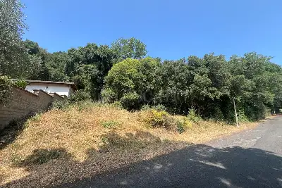 Agricolo in vendita, Via Sozzago, Roma