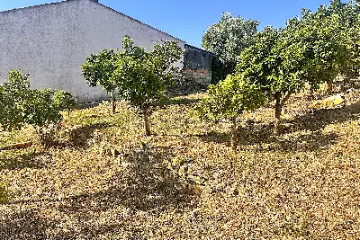 Edificabile Residenziali in vendita, Trudda via Angona, Loiri Porto San Paolo