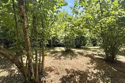 Agricolo in vendita, Via Schiti, Contrada, Contrada