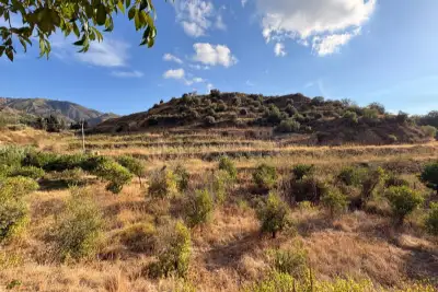 Agricolo in vendita, Via Provinciale per Armo-Gallina, Reggio di Calabria