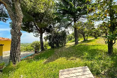 Casa Indipendente in vendita, Contrada Colle Porcino, Controguerra