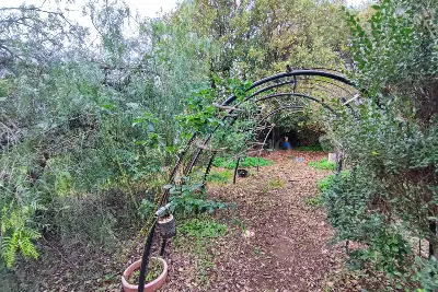 Casa in vendita, Via Delle Grugnole, Nettuno