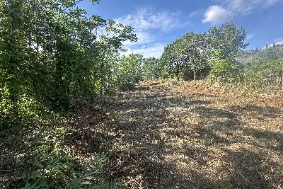 Agricolo in vendita, San Leucio, Vaccheria, Caserta