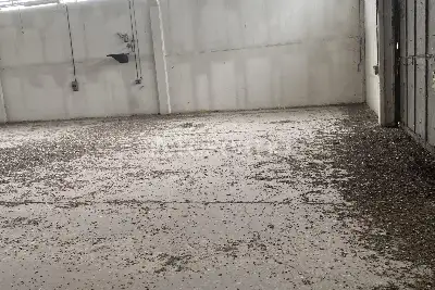 Capannone in affitto, VIA BRODOLINI , Casalpusterlengo