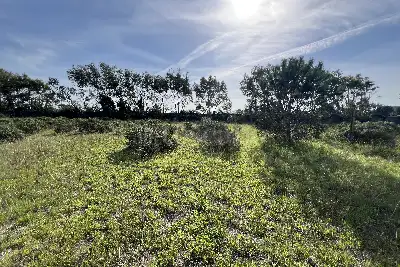 Edificabile Residenziali in vendita, Via Consorzio Focense, Fiumicino