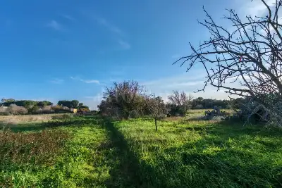 Capannone in vendita, SS16, Brindisi