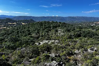 Agricolo in vendita, Telti via Monti Longu., Telti